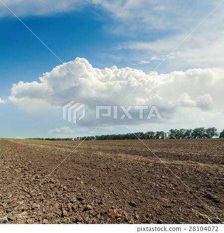 black plowed field and cloudy sky 28104072