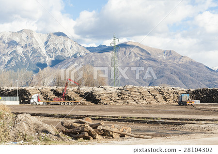 Storage of logs for the wood industry. 28104302