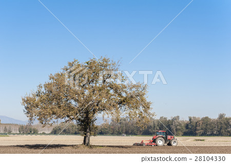 Farm work, harrowing of a field. 28104330