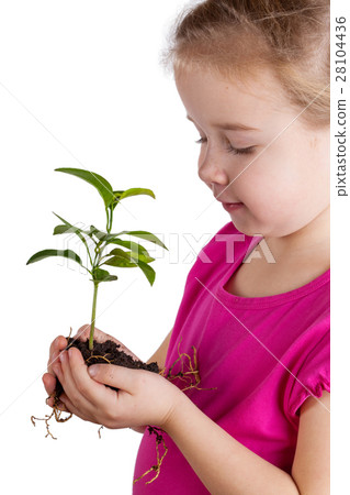 Child holding green plant in soil isolated on white 28104436