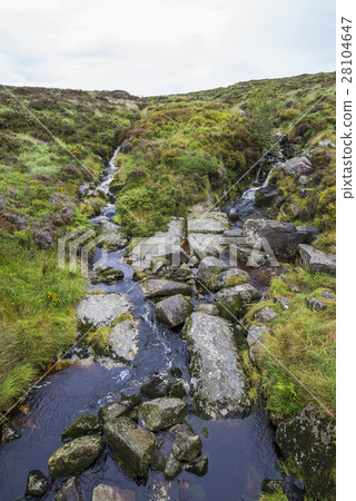 Stream the hills of Ireland. Wicklow park 28104647