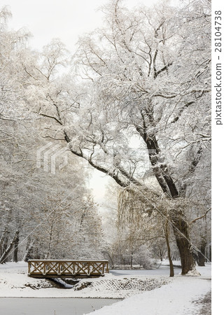 Winter forest landscape Winter forest landscape 28104738