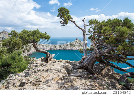 rocky mountain landscape 28104843