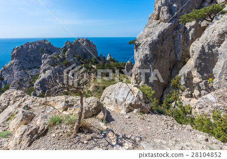 rocky mountain landscape 28104852