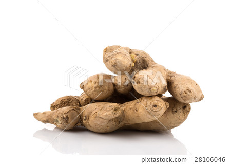 fresh ginger on white background fresh ginger on white background 28106046