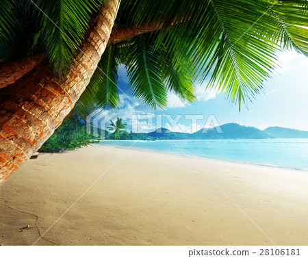 beach Anse Takamaka, Mahe island, Seychelles beach Anse Takamaka, Mahe island, Seychelles 28106181
