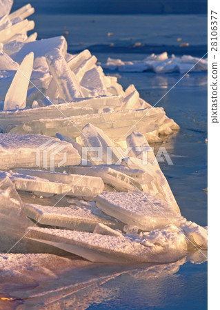 Many iceblocks on each other in Lake Balaton 28106377