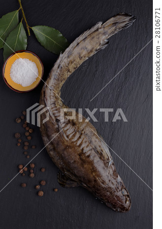 Raw burbot 28106771