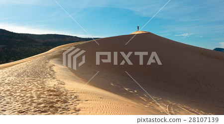 Landscape photography of Desert In Arizona Landscape photography of Desert In Arizona 28107139