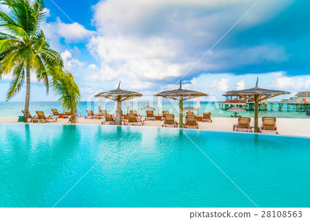 Swimming pool bar in tropical Maldives island . Swimming pool bar in tropical Maldives island . 28108563
