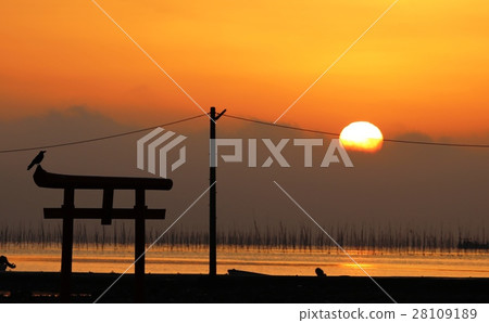 有明海水下鳥居 有明海水下鳥居 28109189