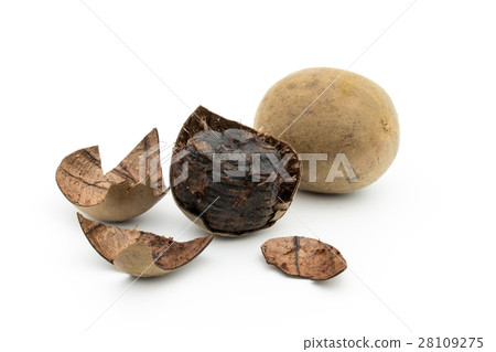 Langheka (Luo Han Fru): luo han guo (monk fruit) 28109275