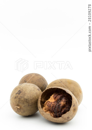 Langheka (Luo Han Fru): luo han guo (monk fruit) Langheka (Luo Han Fru): luo han guo (monk fruit) 28109278