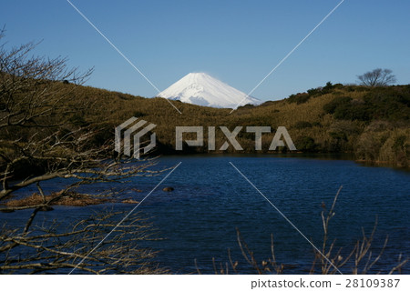 元氣冰池和富士山 元氣冰池和富士山 28109387