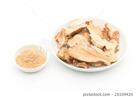 乾燥的高良薑:高良薑 乾燥的高良薑:高良薑 28109420