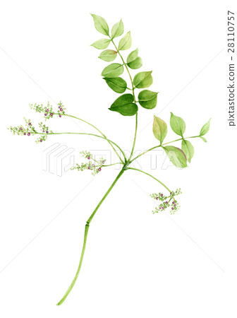 Grinleaf 28110757