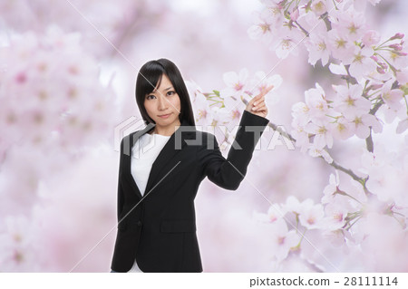 女商人櫻花綜合 28111114