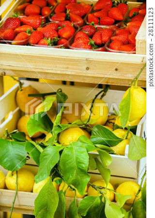 fruit market fruit market 28111123