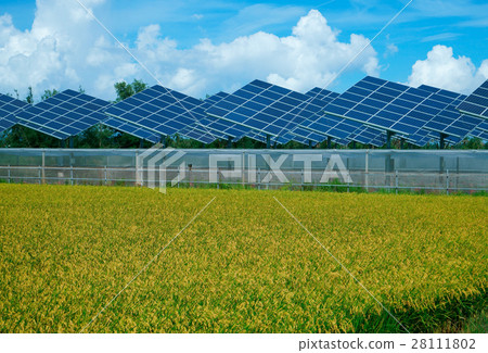 solar energy generation 28111802