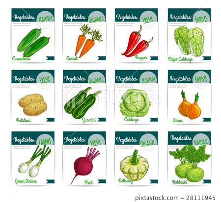 Fresh organic vegetables vector price cards set 28111945