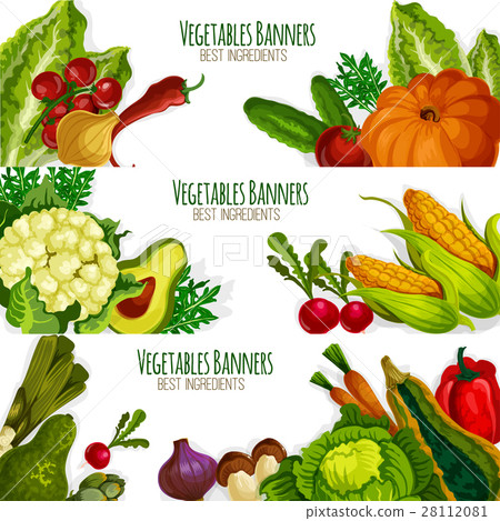 Vegetable vector banners set of fresh vegetables Vegetable vector banners set of fresh vegetables 28112081