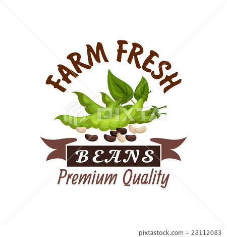 Beans or legume soybeans vector poster or emblem 28112083