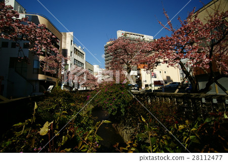 Itokawa Promenade Atami Sakura Itokawa Promenade Atami Sakura 28112477