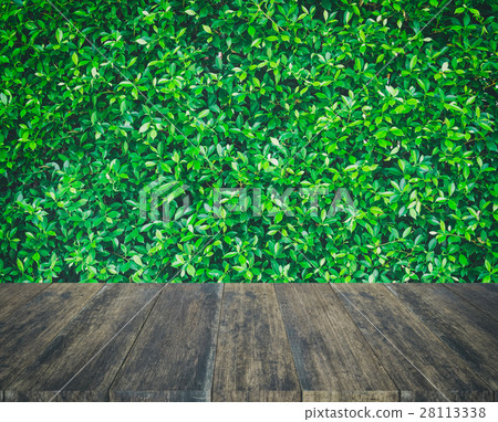 wood texture and green leaf background 28113338