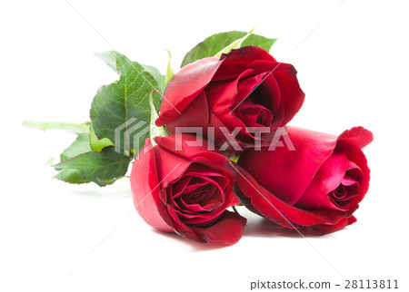 red roses bouquet 28113811