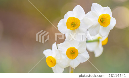 Sound 16: 9 Sound 16: 9 28114541