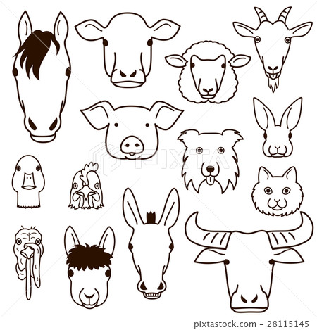 Livestock face set drawing Livestock face set drawing 28115145