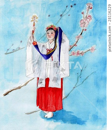 Plum blossoms with shrine maidens 28116229