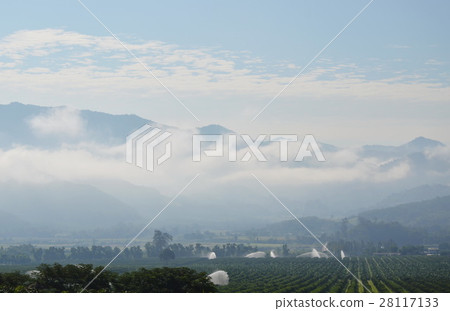 water splashing by high pressure sprinkle plant water splashing by high pressure sprinkle plant 28117133