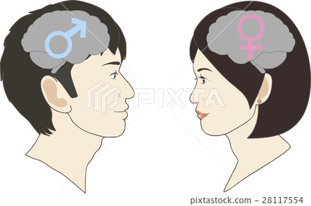 面對彼此的男性和女性腦子的例證 面對彼此的男性和女性腦子的例證 28117554