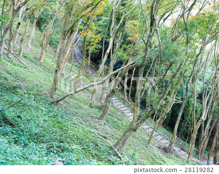 hillside 28119282