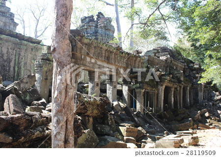 Ta Prom temple Cambodia Angkor Monument World heritage 28119509