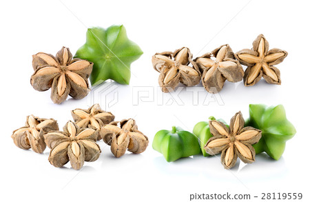 Sacha Inchi on white background Sacha Inchi on white background 28119559