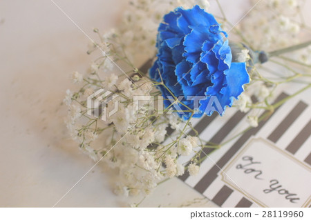 Blue Kenation Blue Kenation 28119960