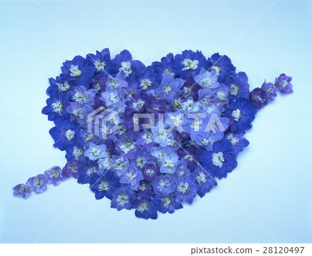 背景 花瓣 28120497