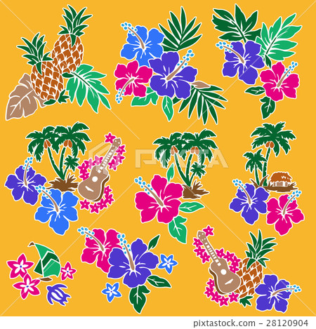 Hibiscus illustration Hibiscus illustration 28120904