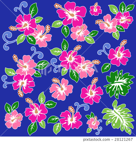 Hibiscus illustration Hibiscus illustration 28121267