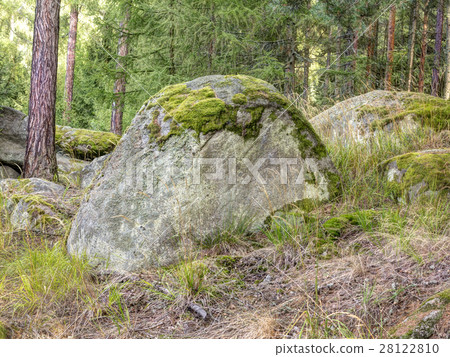Boulder in forest 28122810