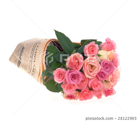 白背景 玫瑰花 28122903