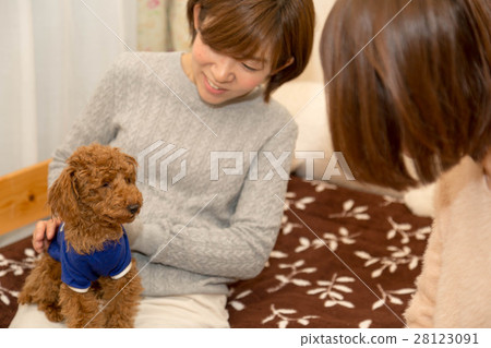 Two women enjoying conversation and a dog Two women enjoying conversation and a dog 28123091