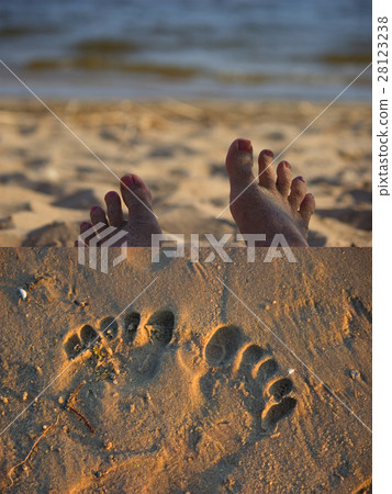 sandy feet on the beach 28123238