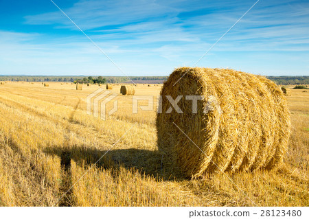 haystack in a field haystack in a field 28123480