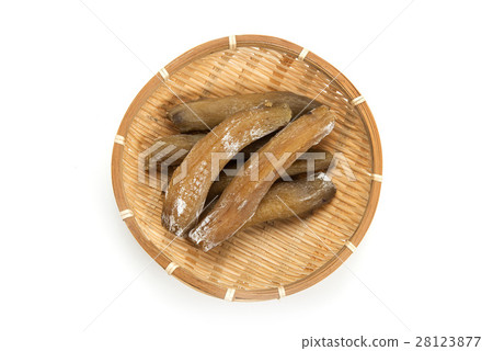 圓形乾土豆 圓形乾土豆 28123877