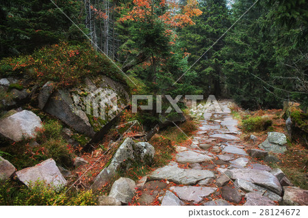 Stone Trail in Karkonosze Mountains 28124672