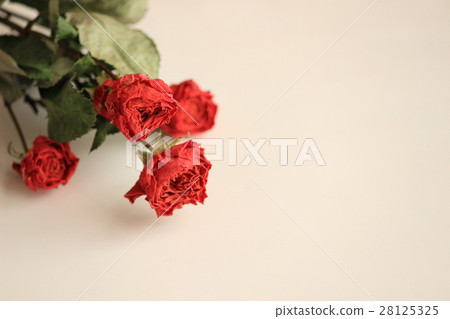 Roses' dry flowers 28125325
