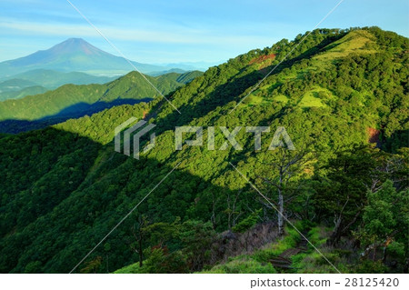 Morning mountains seen from Tanzawa mountain and Mount Fuji Morning mountains seen from Tanzawa mountain and Mount Fuji 28125420